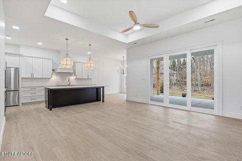 Tiny photo for 518 Gohi Tr, Vonore, TN 37885 (MLS # 1330107)