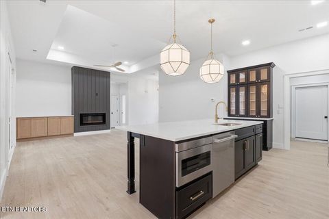 Tiny photo for 518 Gohi Tr, Vonore, TN 37885 (MLS # 1330107)