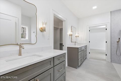 Tiny photo for 518 Gohi Tr, Vonore, TN 37885 (MLS # 1330107)