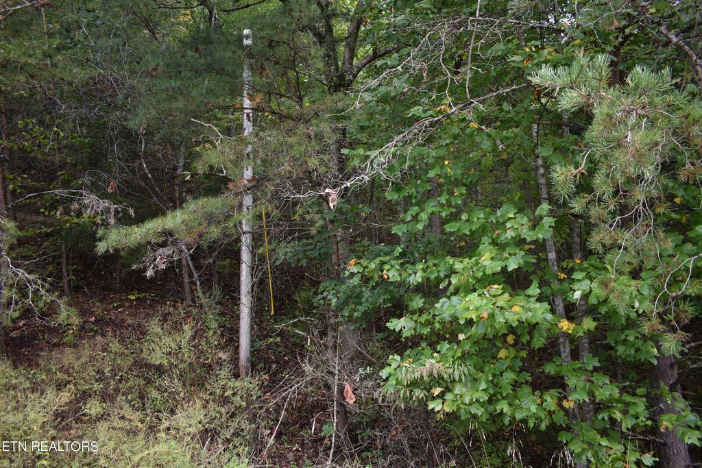 Photo of Bluff View Rd, New Tazewell, TN 37825 (MLS # 1241472)