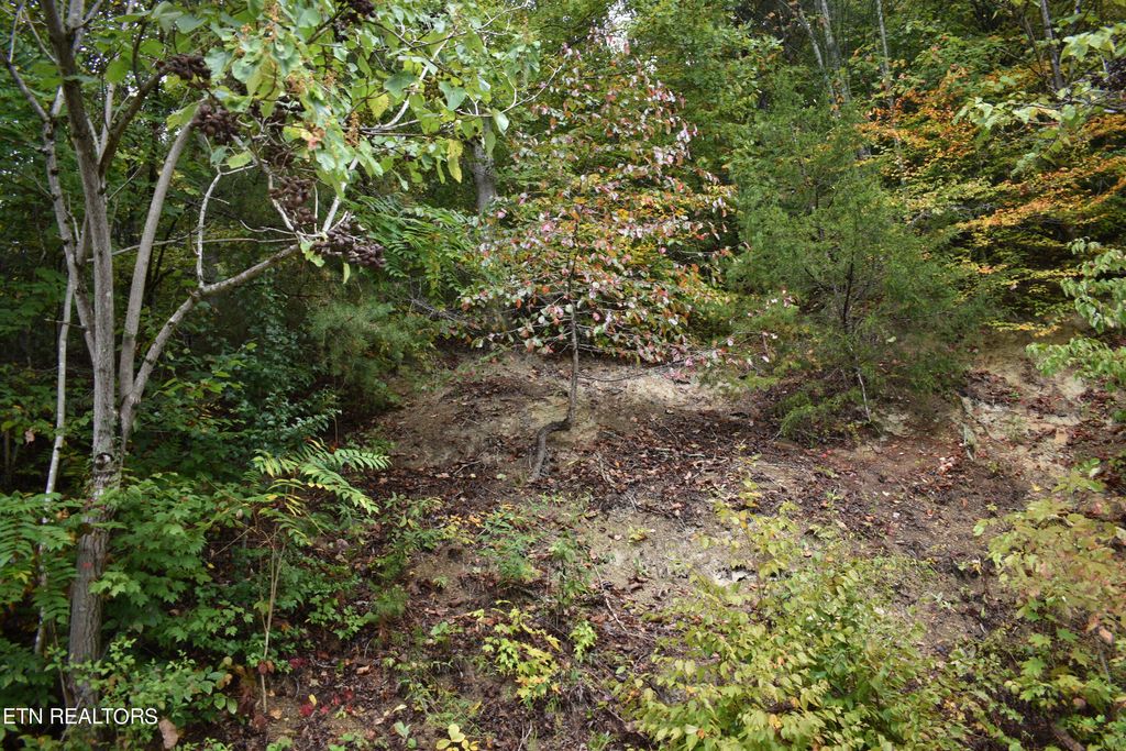 Photo of Bluff View Rd, New Tazewell, TN 37825 (MLS # 1241472)