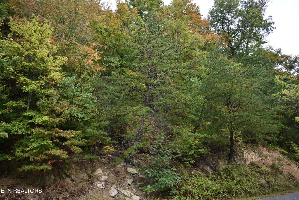Photo of Bluff View Rd, New Tazewell, TN 37825 (MLS # 1241472)