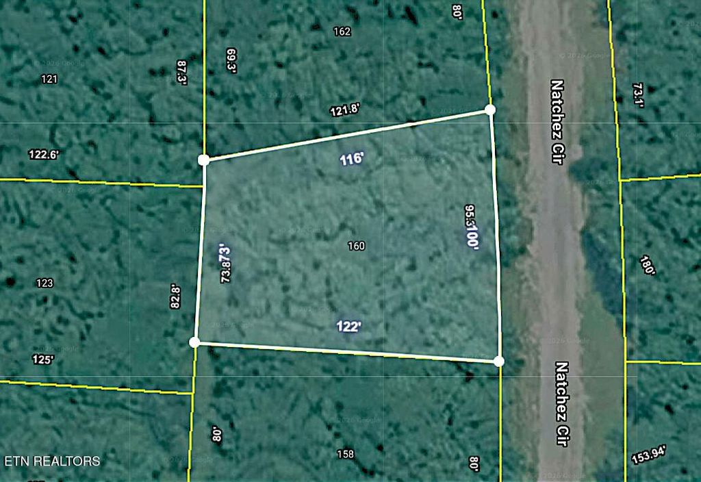 Photo of 160 Natchez Circle, Crossville, TN 38558 (MLS # 1335226)