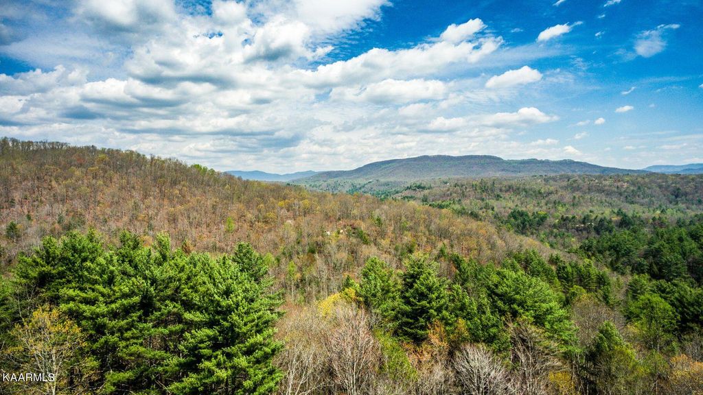Photo of 684 Green Ridge Trails (Lot 9) Trl, Harriman, TN 37748 (MLS # 1216131)