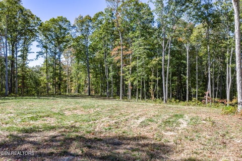Tiny photo for 628 Cumberland Cove Rd, Monterey, TN 38574 (MLS # 1349631)