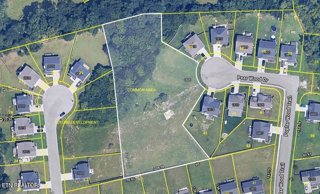 Photo of 1820 Pear Wood Drive, Knoxville, TN 37920 (MLS # 1341704)