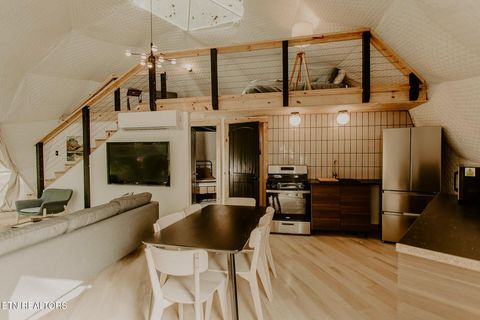 Tiny photo for 910 Windy Hill Way, Cosby, TN 37722 (MLS # 1337897)