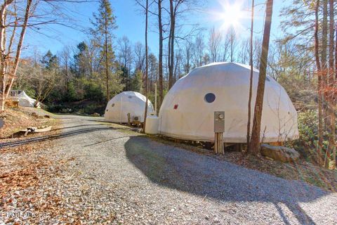 Tiny photo for 910 Windy Hill Way, Cosby, TN 37722 (MLS # 1337897)