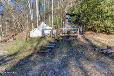 Tiny photo for 910 Windy Hill Way, Cosby, TN 37722 (MLS # 1337897)