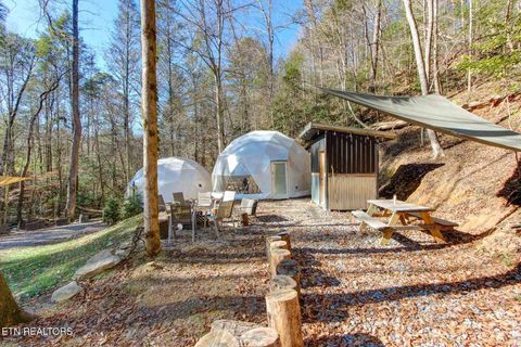 Tiny photo for 910 Windy Hill Way, Cosby, TN 37722 (MLS # 1337897)