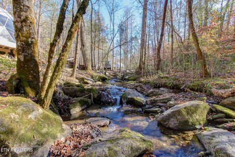 Tiny photo for 910 Windy Hill Way, Cosby, TN 37722 (MLS # 1337897)