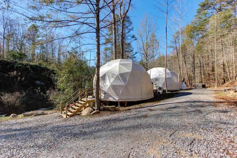 Tiny photo for 910 Windy Hill Way, Cosby, TN 37722 (MLS # 1337897)