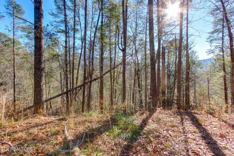 Tiny photo for 910 Windy Hill Way, Cosby, TN 37722 (MLS # 1337897)
