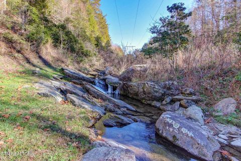 Tiny photo for 910 Windy Hill Way, Cosby, TN 37722 (MLS # 1337897)