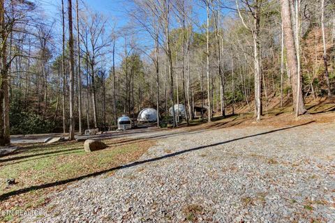 Tiny photo for 910 Windy Hill Way, Cosby, TN 37722 (MLS # 1337897)
