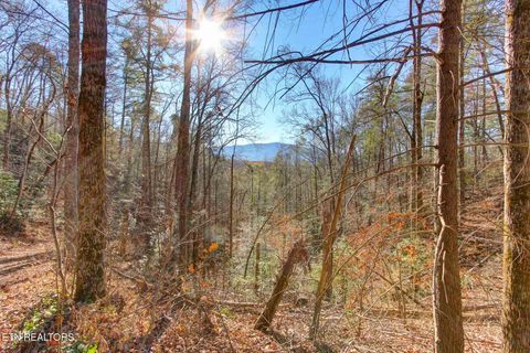 Tiny photo for 910 Windy Hill Way, Cosby, TN 37722 (MLS # 1337897)