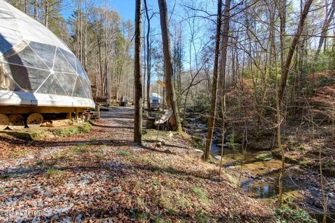 Tiny photo for 910 Windy Hill Way, Cosby, TN 37722 (MLS # 1337897)