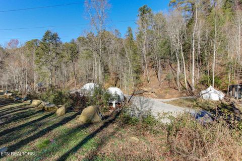 Tiny photo for 910 Windy Hill Way, Cosby, TN 37722 (MLS # 1337897)