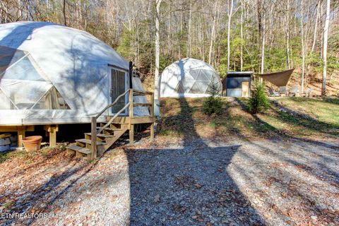 Tiny photo for 910 Windy Hill Way, Cosby, TN 37722 (MLS # 1337897)