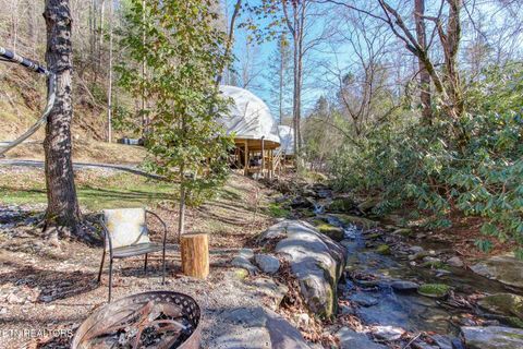 Tiny photo for 910 Windy Hill Way, Cosby, TN 37722 (MLS # 1337897)
