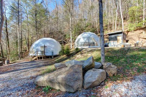 Tiny photo for 910 Windy Hill Way, Cosby, TN 37722 (MLS # 1337897)