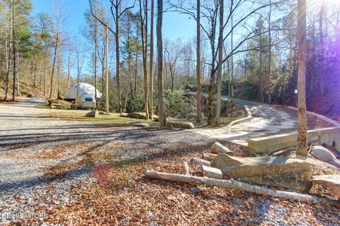 Tiny photo for 910 Windy Hill Way, Cosby, TN 37722 (MLS # 1337897)