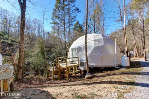Tiny photo for 910 Windy Hill Way, Cosby, TN 37722 (MLS # 1337897)