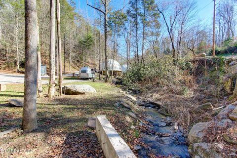 Tiny photo for 910 Windy Hill Way, Cosby, TN 37722 (MLS # 1337897)