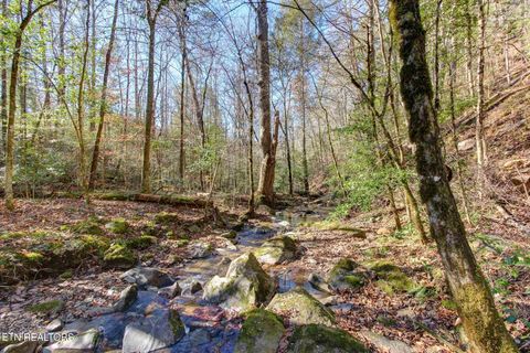 Tiny photo for 910 Windy Hill Way, Cosby, TN 37722 (MLS # 1337897)