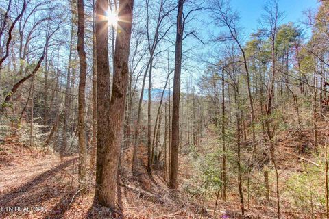 Tiny photo for 910 Windy Hill Way, Cosby, TN 37722 (MLS # 1337897)