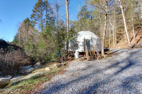 Tiny photo for 910 Windy Hill Way, Cosby, TN 37722 (MLS # 1337897)
