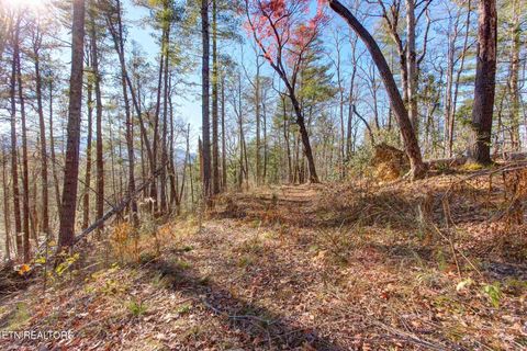 Tiny photo for 910 Windy Hill Way, Cosby, TN 37722 (MLS # 1337897)