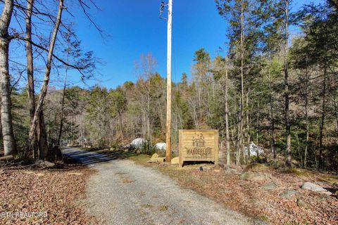 Photo of 910 Windy Hill Way, Cosby, TN 37722 (MLS # 1337897)