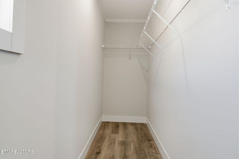 Tiny photo for 221 Song Bird Way, White Pine, TN 37890 (MLS # 1325840)