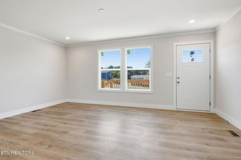 Tiny photo for 221 Song Bird Way, White Pine, TN 37890 (MLS # 1325840)