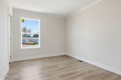 Tiny photo for 221 Song Bird Way, White Pine, TN 37890 (MLS # 1325840)