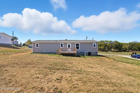 Tiny photo for 221 Song Bird Way, White Pine, TN 37890 (MLS # 1325840)