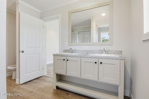 Tiny photo for 221 Song Bird Way, White Pine, TN 37890 (MLS # 1325840)