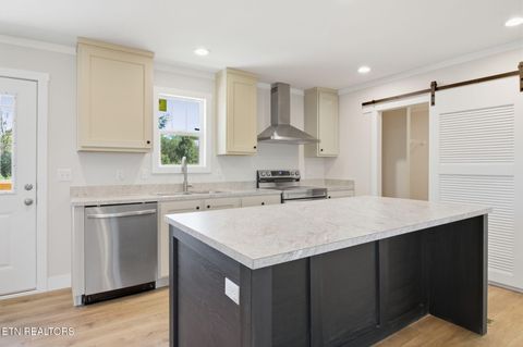 Tiny photo for 221 Song Bird Way, White Pine, TN 37890 (MLS # 1325840)