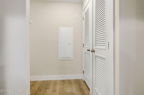 Tiny photo for 221 Song Bird Way, White Pine, TN 37890 (MLS # 1325840)