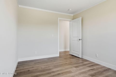 Tiny photo for 221 Song Bird Way, White Pine, TN 37890 (MLS # 1325840)