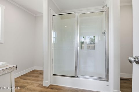 Tiny photo for 221 Song Bird Way, White Pine, TN 37890 (MLS # 1325840)