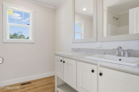 Tiny photo for 221 Song Bird Way, White Pine, TN 37890 (MLS # 1325840)