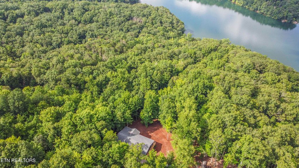Photo of 185 Oak Tree Drive, Spring City, TN 37381 (MLS # 1309947)