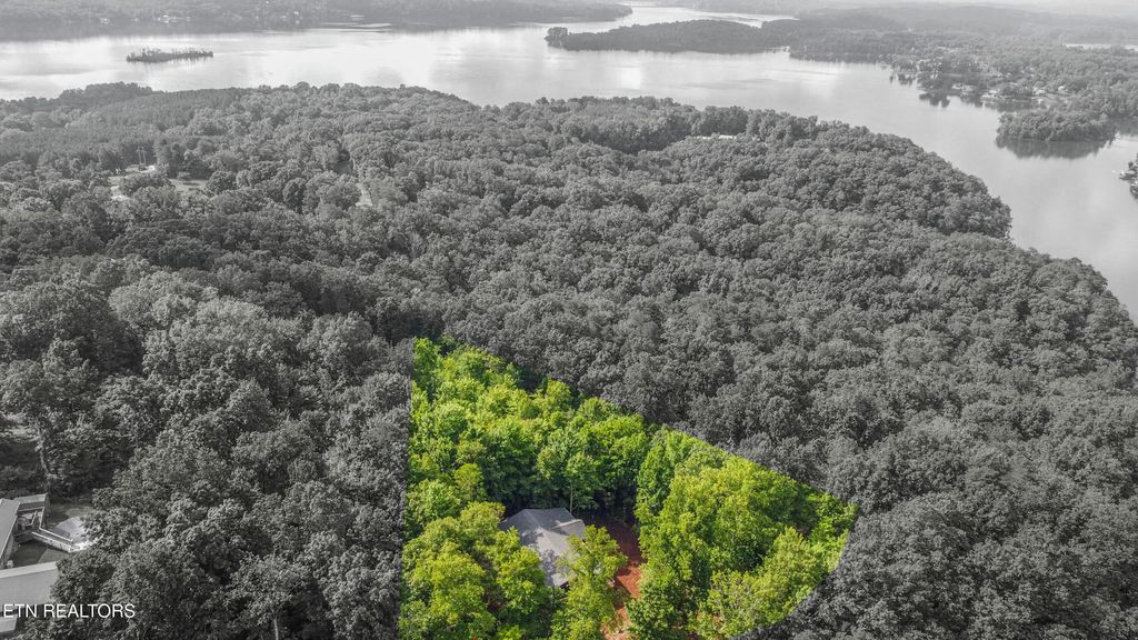 Photo of 185 Oak Tree Drive, Spring City, TN 37381 (MLS # 1309947)