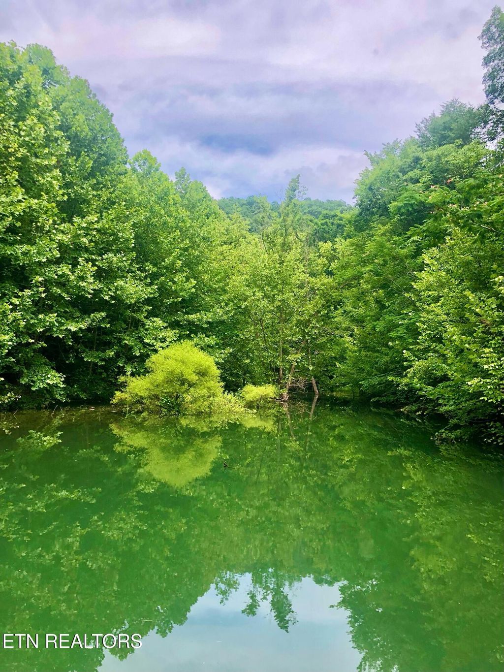 Photo of River Ridge Road Tract 1, Maynardville, TN 37807 (MLS # 1294365)
