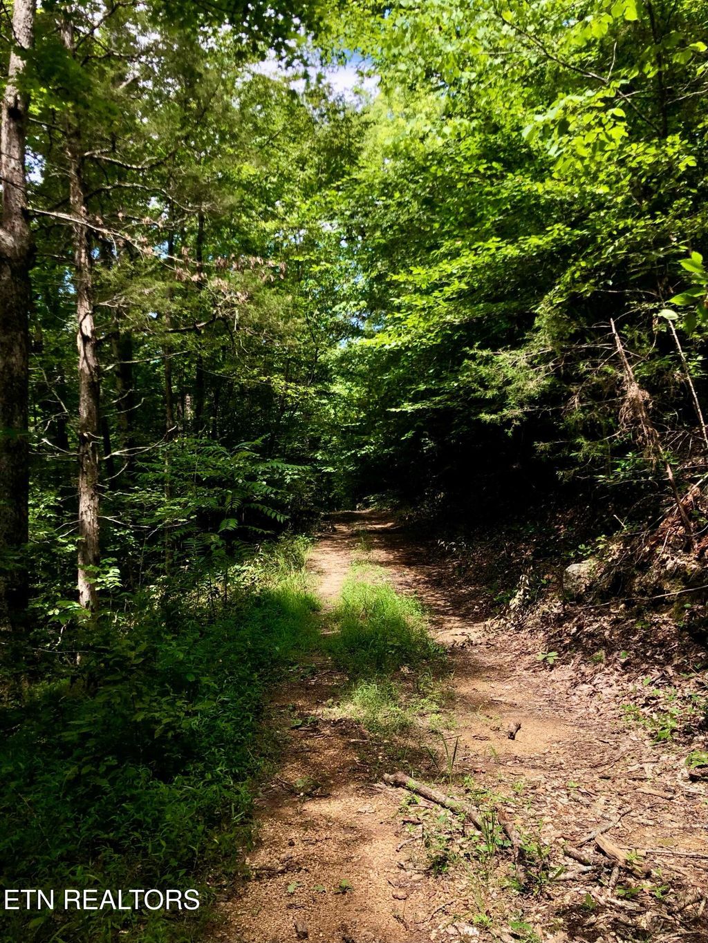 Photo of River Ridge Road Tract 1, Maynardville, TN 37807 (MLS # 1294365)