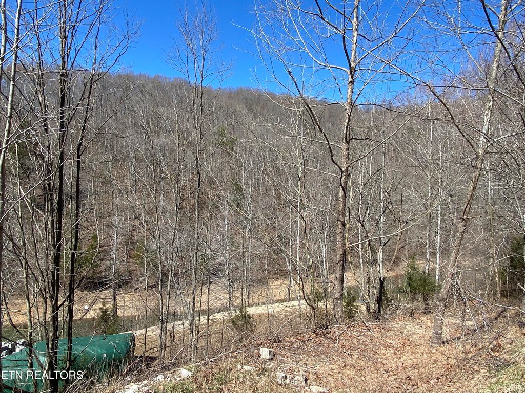 Photo of River Ridge Road Tract 1, Maynardville, TN 37807 (MLS # 1294365)