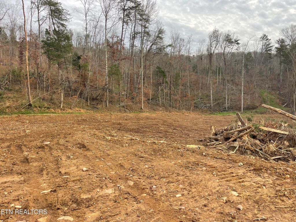 Photo of 170 Robbies Lane, Decatur, TN 37322 (MLS # 1340625)