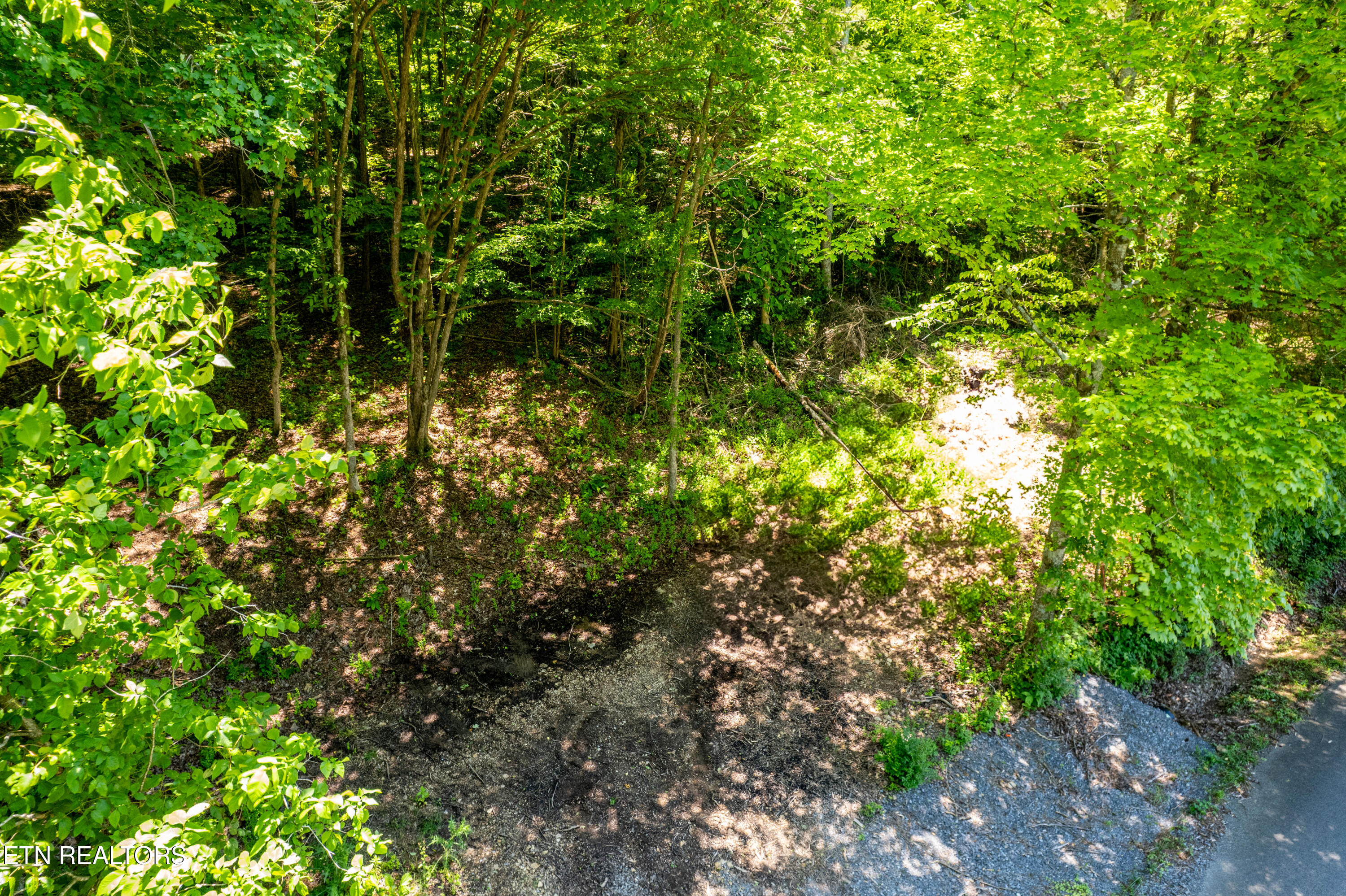 0 Candies Creek Ridge Rd. Lot 1